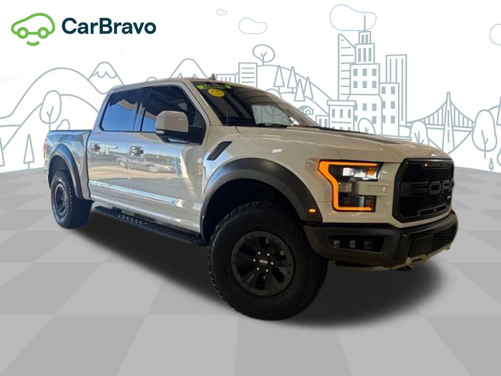 2019 Ford F-150 Raptor — photo 1 of 6