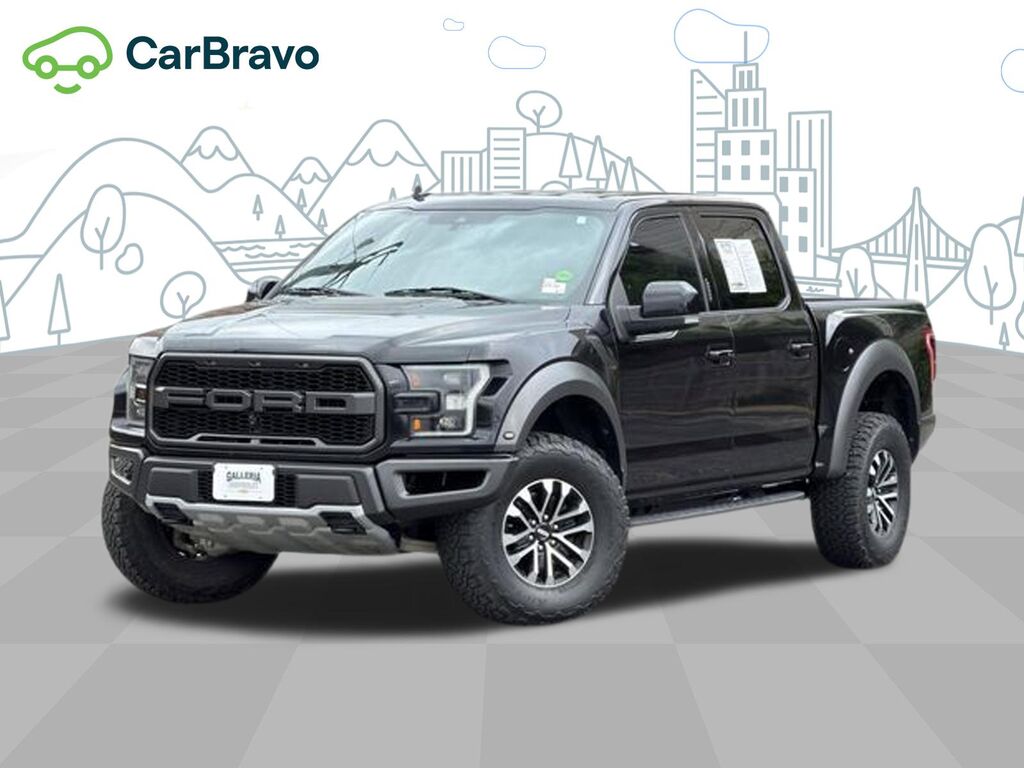 2019 Ford F-150 Raptor — photo 1 of 6