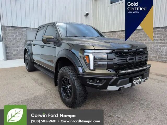 2024 Ford F-150 Raptor — photo 1 of 1