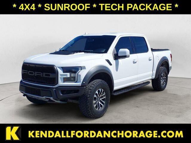 2019 Ford F-150 Raptor — photo 1 of 13