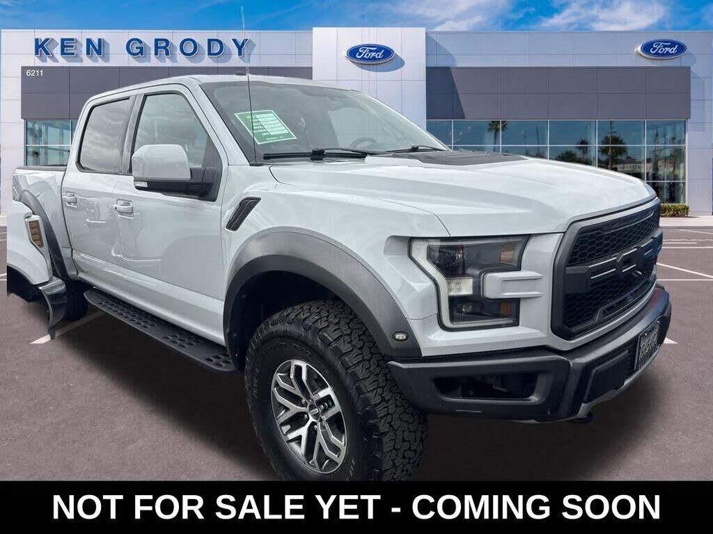 2017 Ford F-150 Raptor — photo 1 of 1