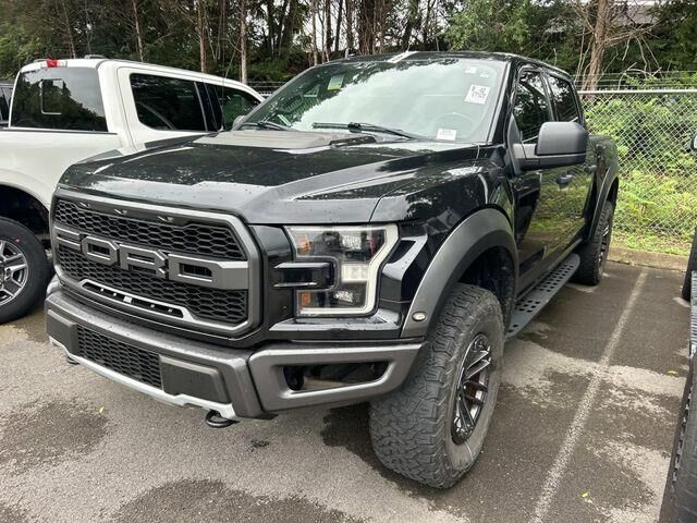 2020 Ford F-150 Raptor — photo 1 of 13