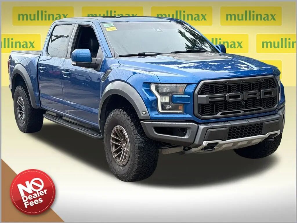 2017 Ford F-150 Raptor — photo 1 of 13