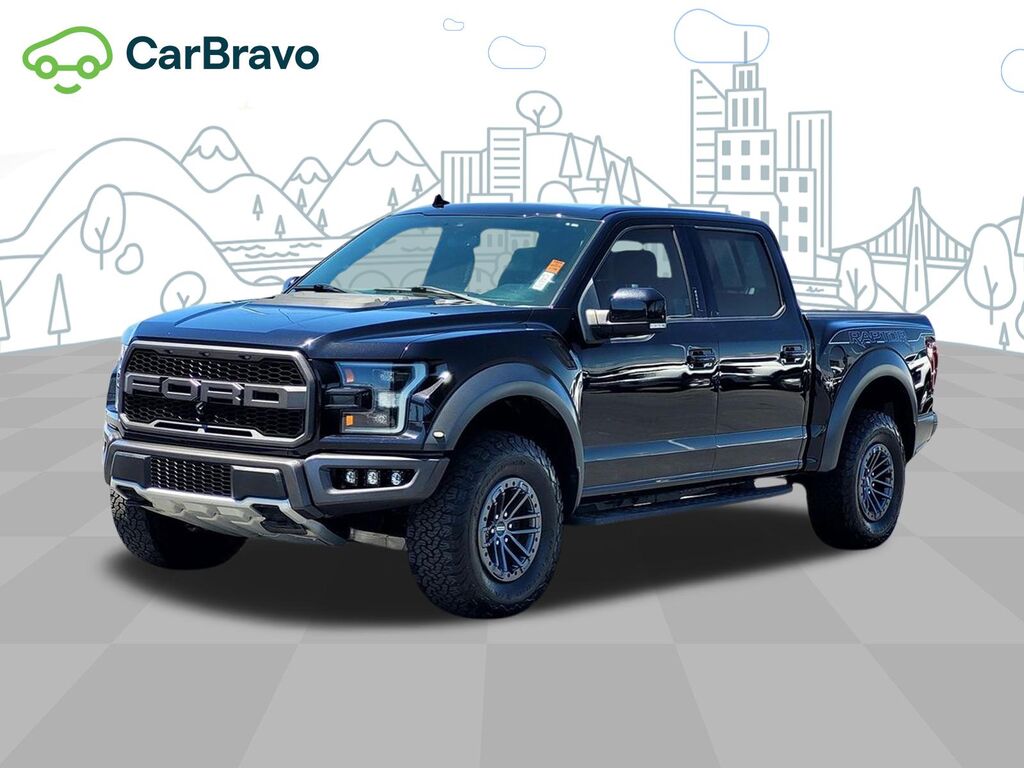 2019 Ford F-150 Raptor — photo 1 of 6
