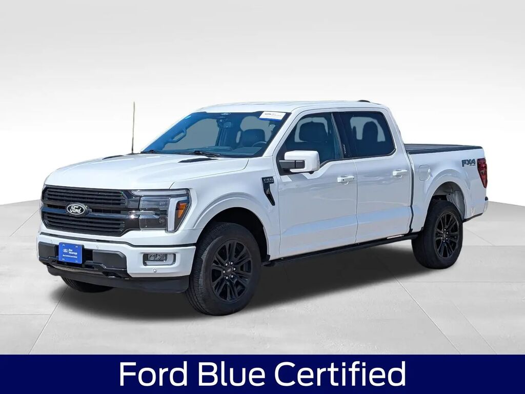 2024 Ford F-150 Platinum — photo 1 of 17