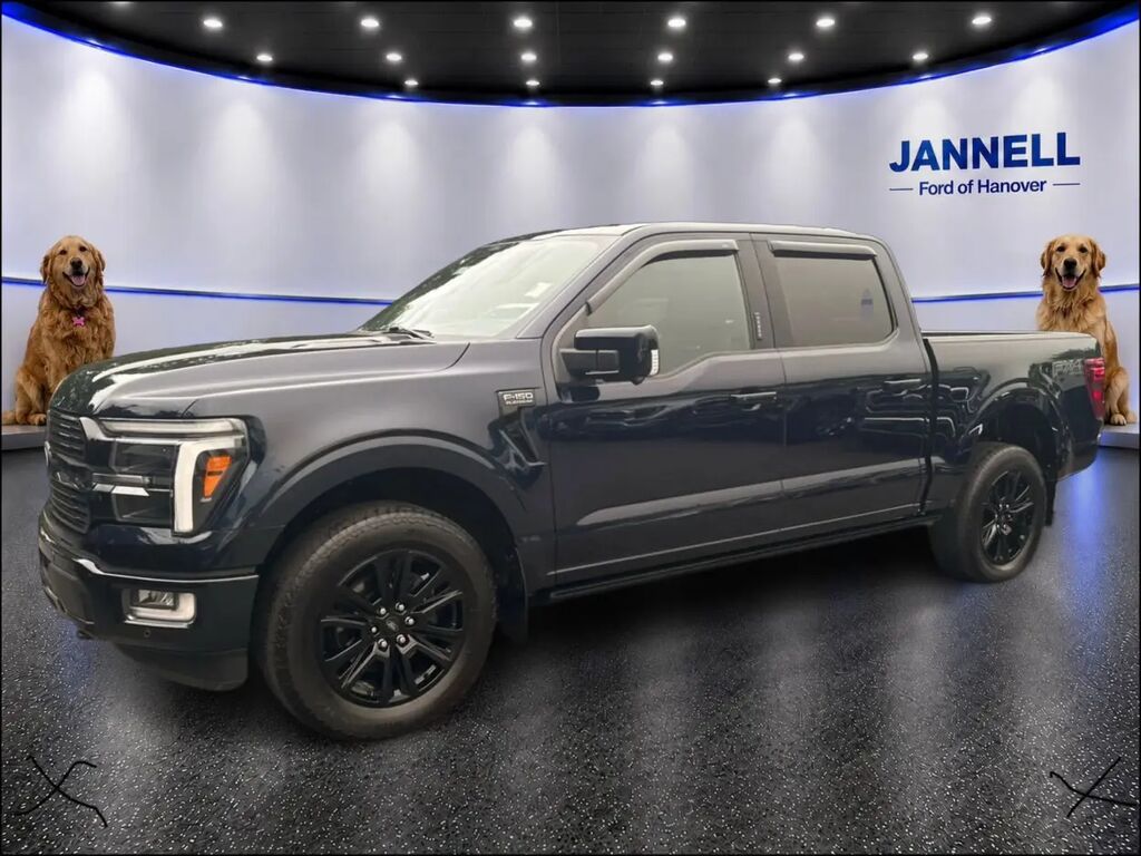 2024 Ford F-150 Platinum — photo 1 of 19
