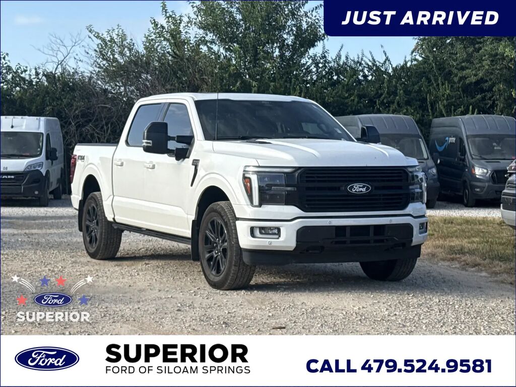 2024 Ford F-150 Platinum — photo 1 of 30