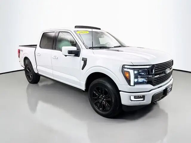 2025 Ford F-150 Platinum — photo 1 of 13