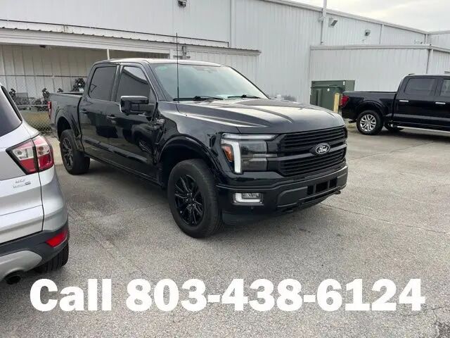 2024 Ford F-150 Platinum — photo 1 of 23