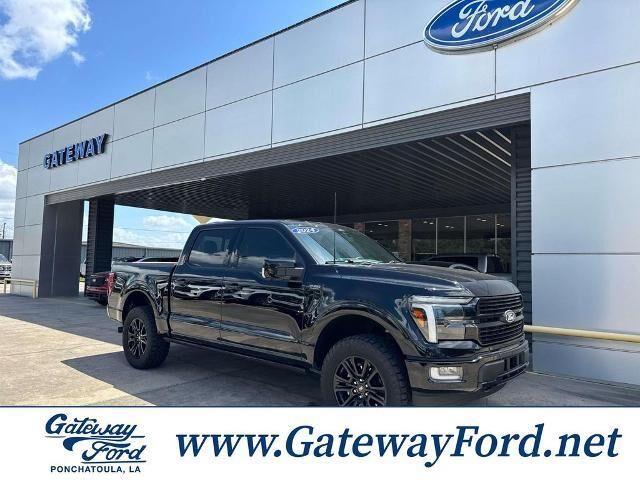 2024 Ford F-150 Platinum — photo 1 of 13