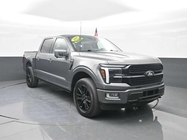 2025 Ford F-150 Platinum — photo 1 of 13