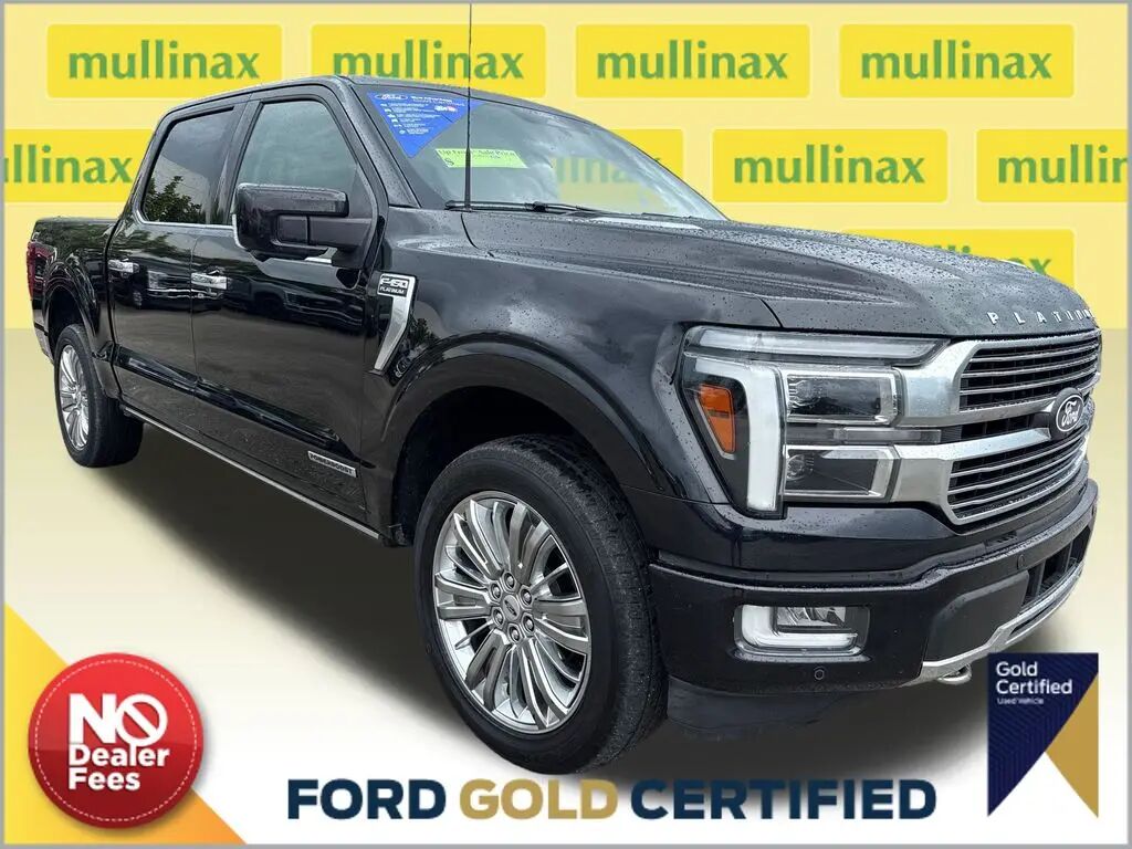 2024 Ford F-150 Platinum — photo 1 of 12