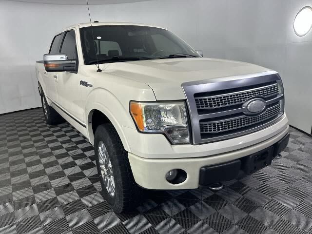 2009 Ford F-150 Platinum — photo 1 of 13