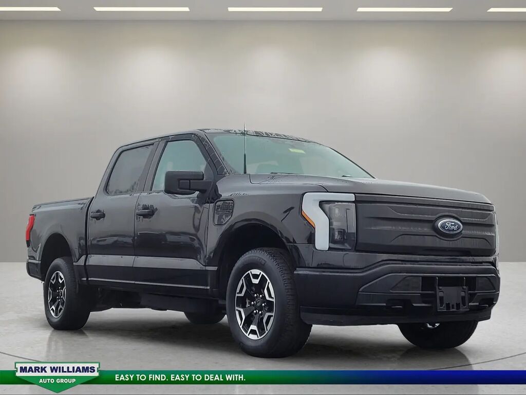 2022 Ford F-150 Lightning Pro — photo 1 of 13