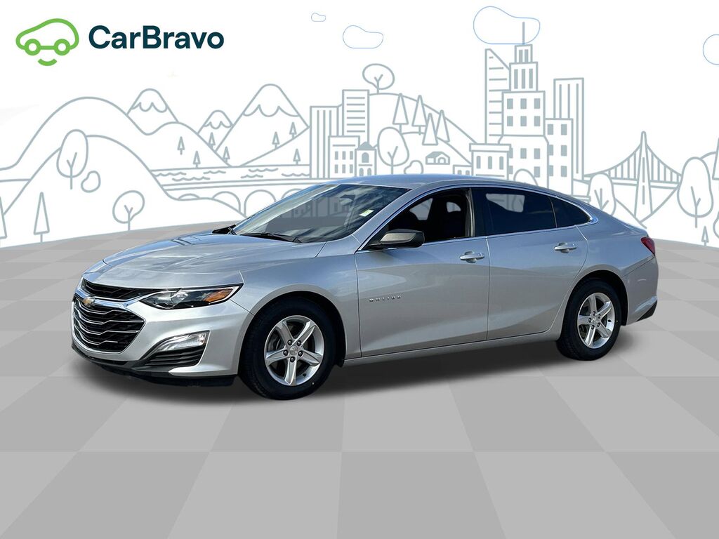 2019 Chevrolet Malibu LS — photo 1 of 7