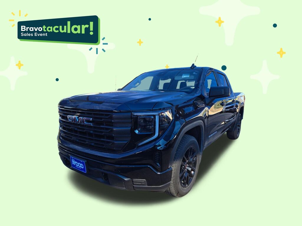 2025 GMC Sierra 1500 Pro — photo 1 of 6
