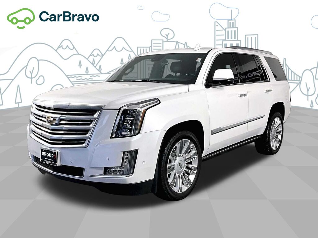 2020 Cadillac Escalade Platinum — photo 1 of 6