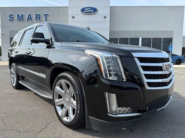 2019 Cadillac Escalade Luxury — photo 1 of 24