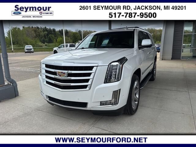 2019 Cadillac Escalade Luxury — photo 1 of 12