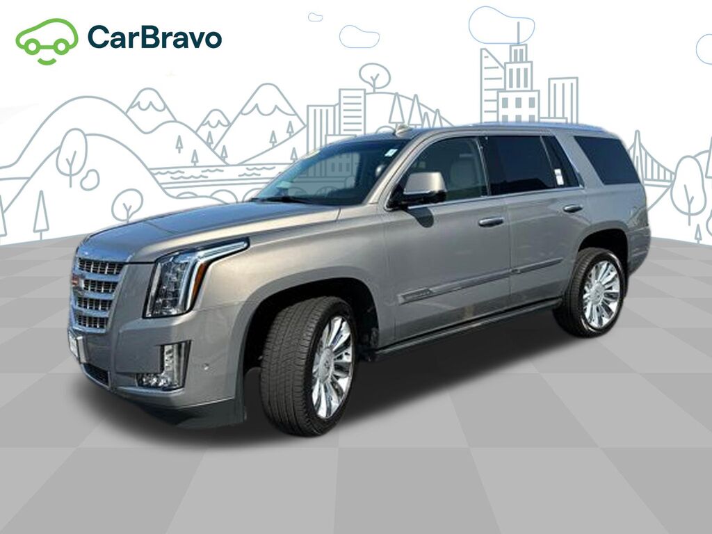 2019 Cadillac Escalade Premium Luxury — photo 1 of 6