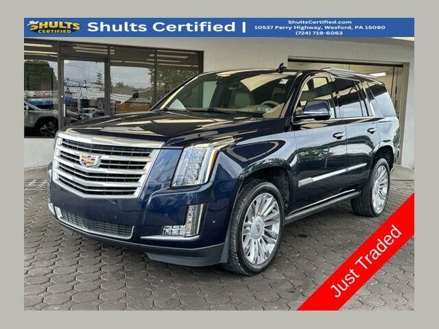 2020 Cadillac Escalade Platinum — photo 1 of 12
