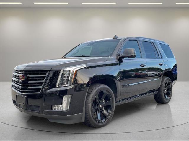 2019 Cadillac Escalade Platinum — photo 1 of 13