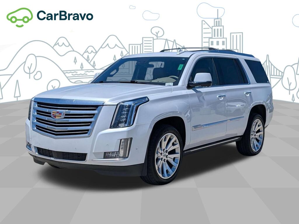 2020 Cadillac Escalade Platinum — photo 1 of 6
