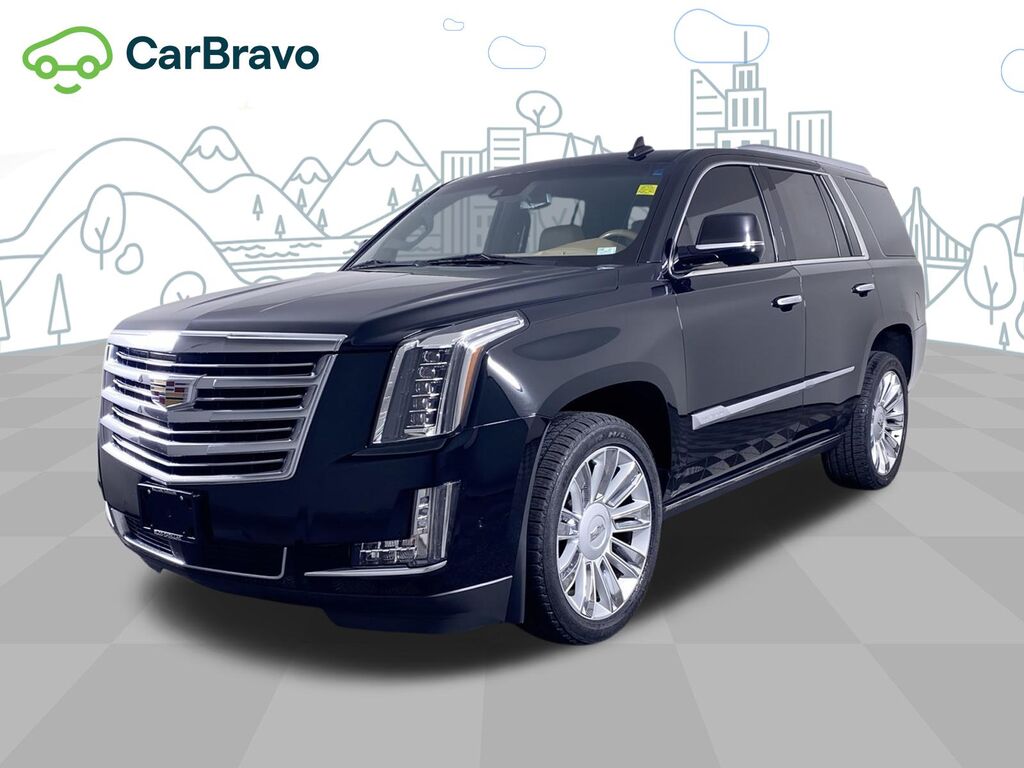 2020 Cadillac Escalade Platinum — photo 1 of 6