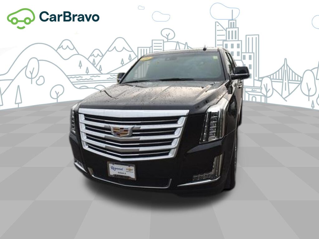 2019 Cadillac Escalade ESV Platinum — photo 1 of 7