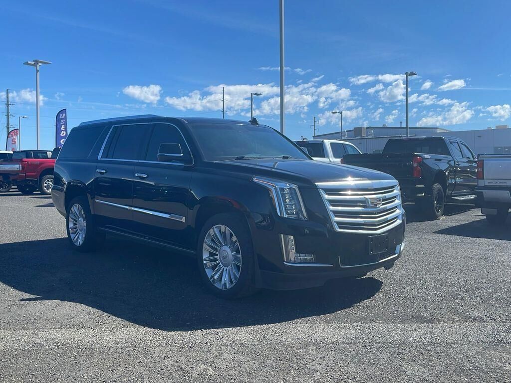 2015 Cadillac Escalade ESV Platinum — photo 1 of 19