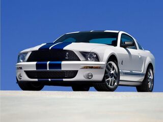 2009 Ford Shelby GT500 Base