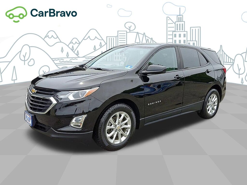 2020 Chevrolet Equinox LS — photo 1 of 6