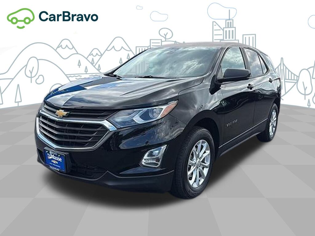 2020 Chevrolet Equinox LS — photo 1 of 6