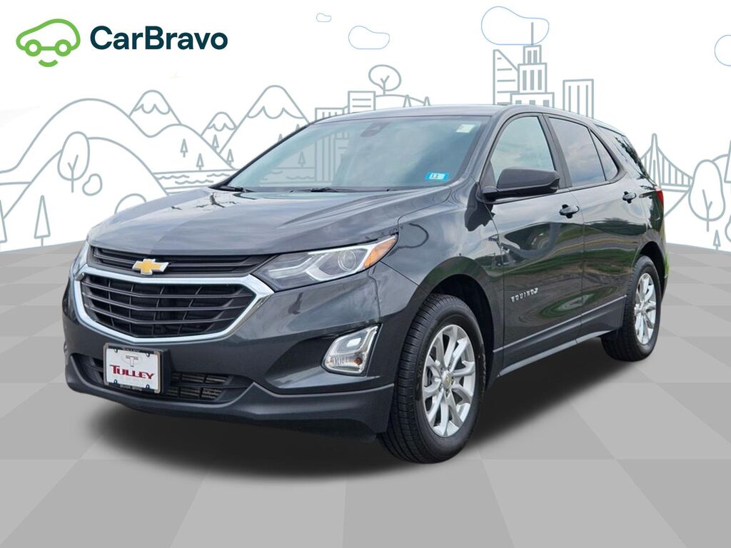 2020 Chevrolet Equinox LS — photo 1 of 6