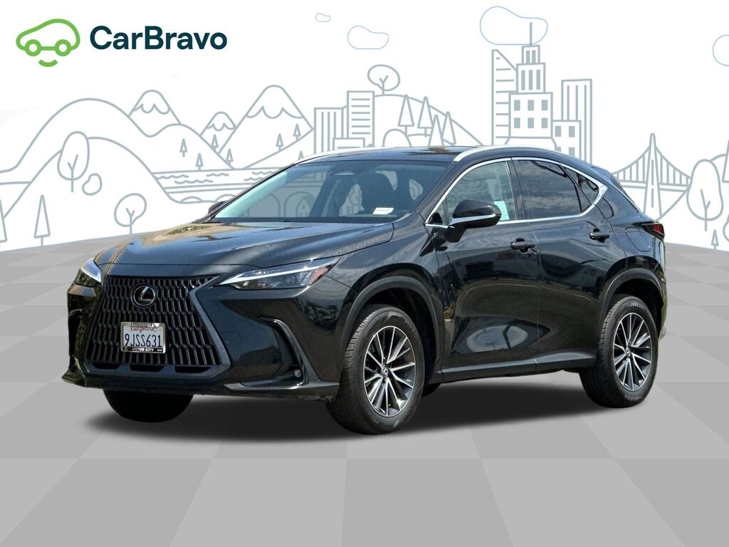 2024 Lexus NX NX 250 — photo 1 of 6