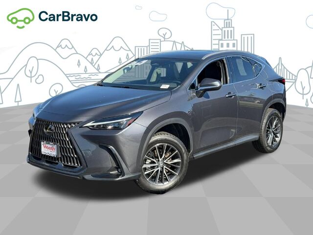 2024 Lexus NX NX 350