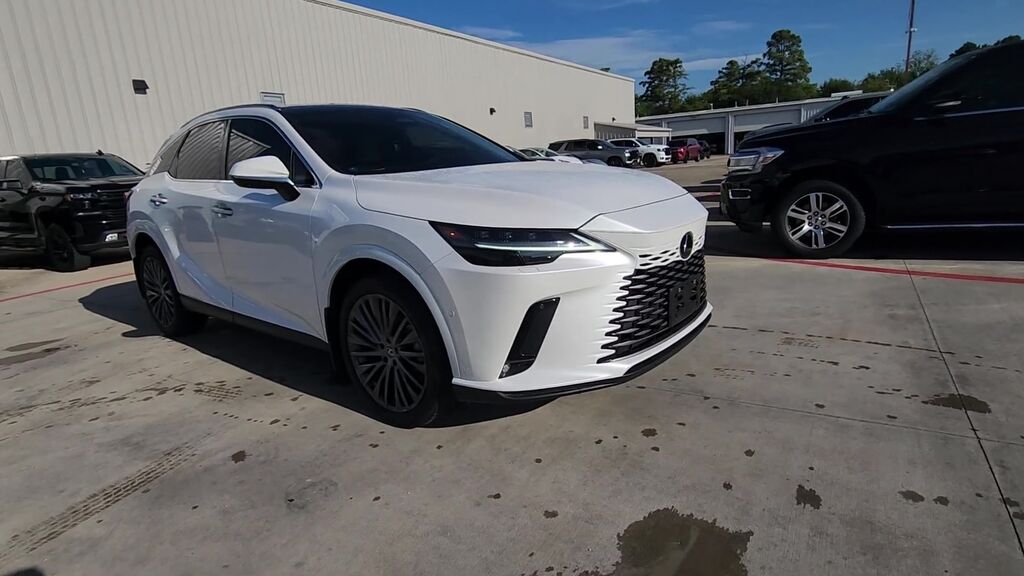 2023 Lexus RX Luxury — photo 1 of 7