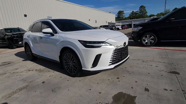 2023 Lexus RX Luxury