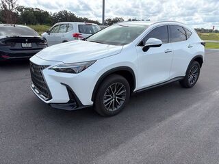 2024 Lexus NX NX 250 Premium