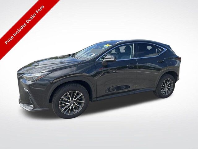 2025 Lexus NX 250 Premium