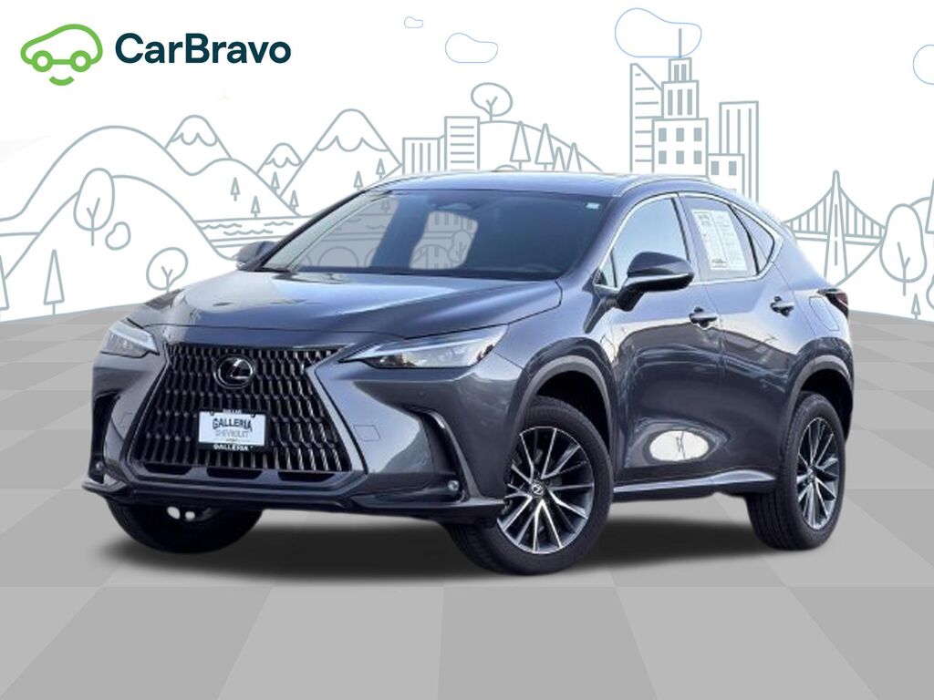 2024 Lexus NX Premium — photo 1 of 7