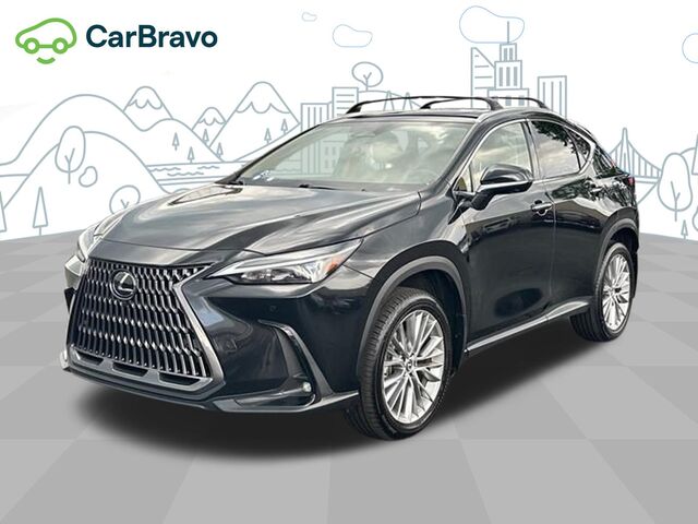 2025 Lexus NX Premium