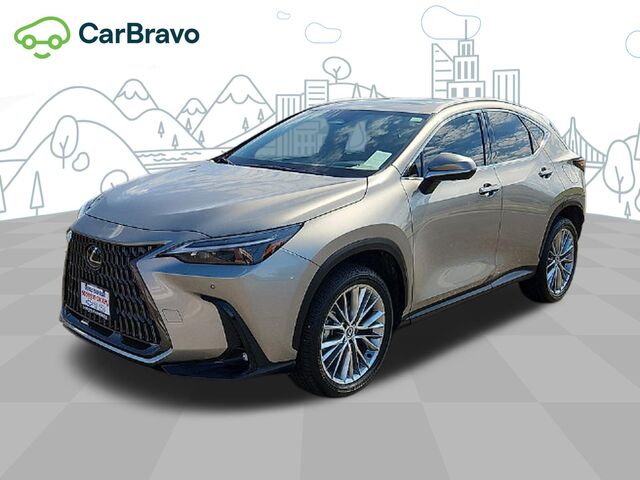 2025 Lexus NX NX 350 Premium