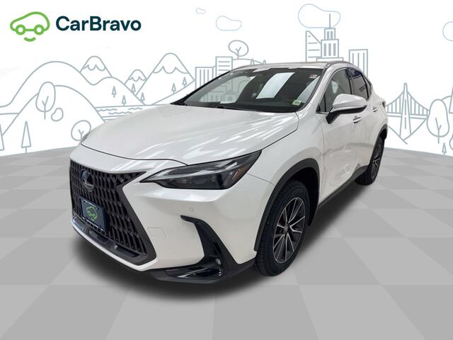 2024 Lexus NX Premium