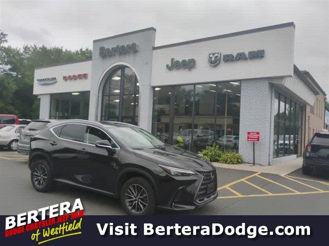 2022 Lexus NX NX 350 Premium — photo 1 of 10