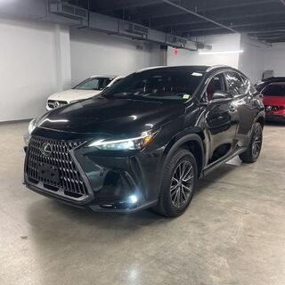 2024 Lexus NX 350 Premium — photo 1 of 31