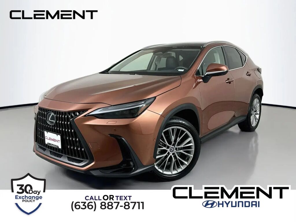 2025 Lexus NX 350 Luxury — photo 1 of 13