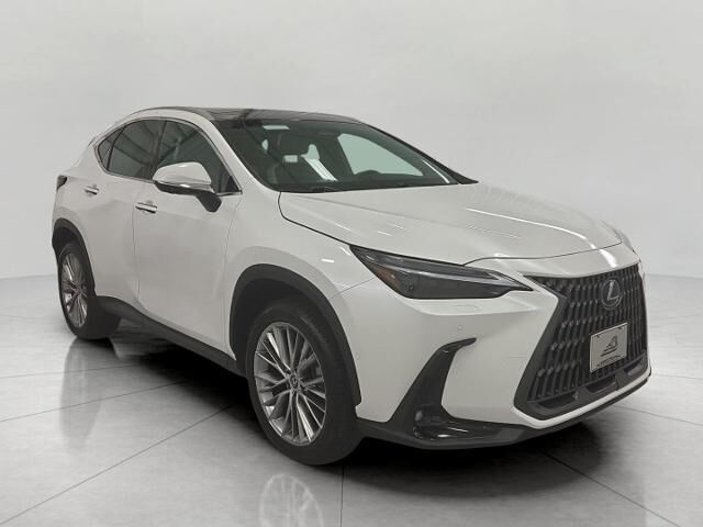 2024 Lexus NX 350h Luxury