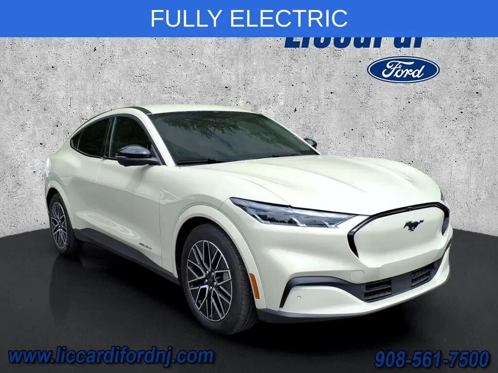 2025 Ford Mustang Mach-E Premium — photo 1 of 13