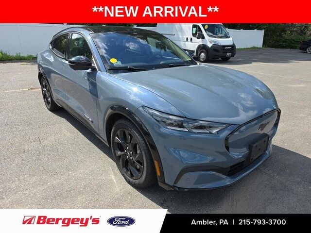 2023 Ford Mustang Mach-E Premium — photo 1 of 1
